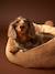 Quilted pet basket FAMILY caramel+printed brown 