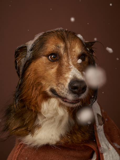 Dog cotton bath cape cappuccino 