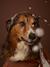 Dog cotton bath cape cappuccino 