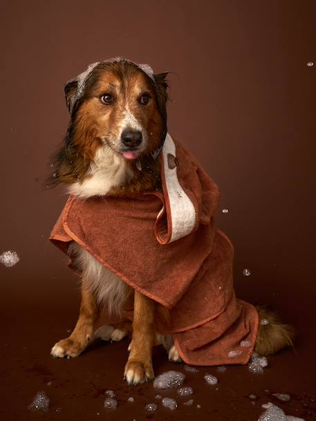 Dog cotton bath cape cappuccino 