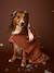 Dog cotton bath cape cappuccino 