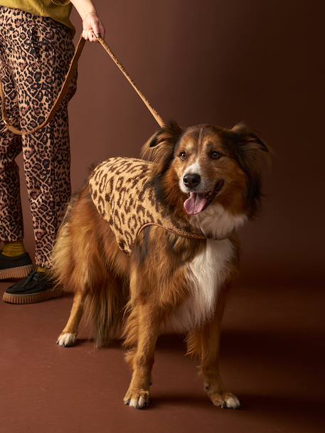 Sherpa dog coat cappuccino 