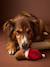 Christmas dachshund dog toy chocolate 