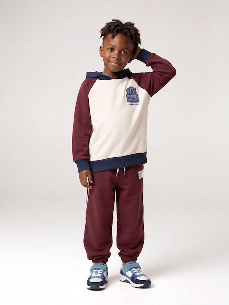 Hooded sweatshirt for boys bordeaux red 