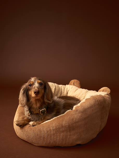 Quilted pet basket FAMILY caramel+printed brown 