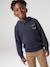 Hooded jumper for boys marl blue 