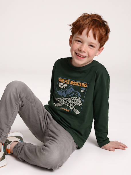 Long-sleeved T-shirt for boys green+navy blue 