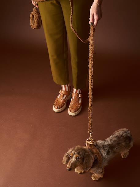 Dog Walking Set: Harness + Lead + Collar chocolate+coffee 