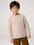 Long-sleeved cable knit jumper for boys marl beige 