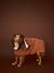 Dog cotton bath cape cappuccino 