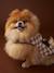 Fleece dog coat beige+chequered brown+khaki 