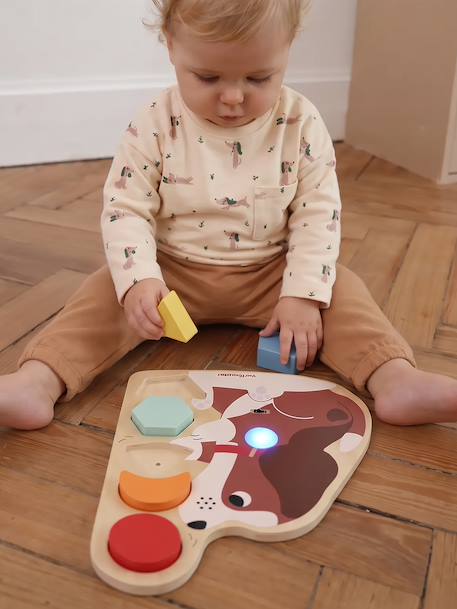 FSC100® colour recognition puzzle wood 