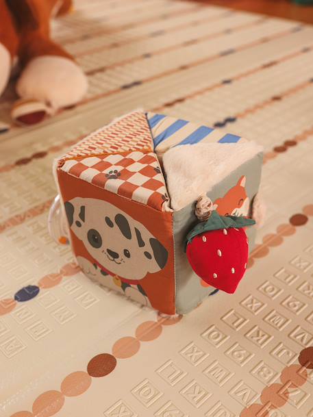 Big Family fold-out activity cube multicoloured 