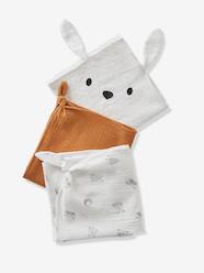 Toys-Pack of 3 Muslin Squares in Organic Cotton*, Jouy Story