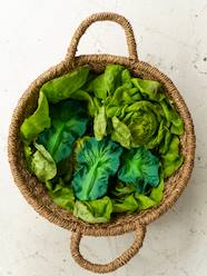 Nursery-Mealtime-Kendall the Cabbage Leaf Teether, by OLI & CAROL