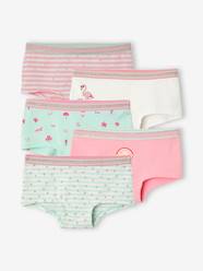 Girls-Underwear-Pack of 5 Shorties for Girls
