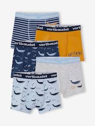 Boys-Pack of 5 Stretch Whale Boxer Shorts for Boys
