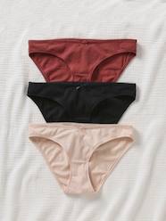 Maternity-Lingerie-Pack of 3 Cotton Briefs for Maternity