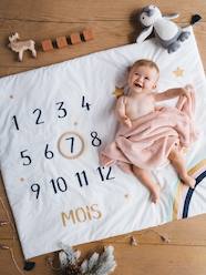 Bedding & Decor-Baby Bedding-Photo Mat, for Babies