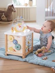 Toys-Big Wooden Activity Cube - FSC® Certified