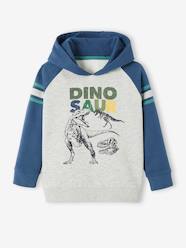 Hoodie with Graphic Motif & Raglan Sleeves for Boys