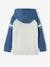 Hoodie with Graphic Motif & Raglan Sleeves for Boys BLUE MEDIUM SOLID WITH DESIGN 