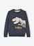 Jacquard Jumper with Fun Motif for Boys BLUE MEDIUM SOLID WITH DESIGN 