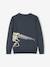 Jacquard Jumper with Fun Motif for Boys BLUE MEDIUM SOLID WITH DESIGN 