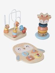 Enchanted Forest Box Set with 3 Early Learning Toys in FSC® Wood