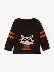 Baby-Jumpers, Cardigans & Sweaters-Jumpers-Knitted Raccoon Jumper for Babies