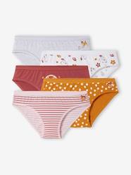 Girls-Underwear-Knickers-Pack of 5 Bambi Briefs by Disney®