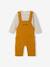 Fleece Top & Dungarees Ensemble, for Babies BROWN MEDIUM SOLID+emerald green 