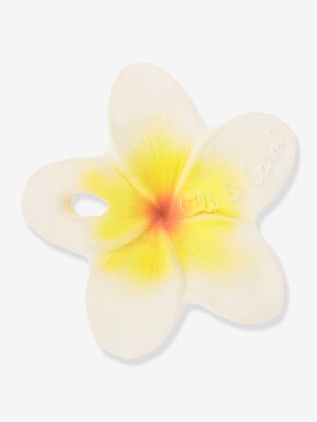 Hawaii the Flower - OLI & CAROL white 