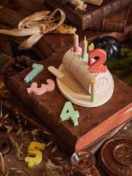 Toys-Role Play Toys-Swiss Roll Birthday Cake in FSC® Wood