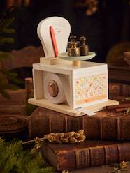 Toys-Kitchen Scales in FSC® Wood