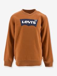 Boys-Cardigans, Jumpers & Sweatshirts-Batwing Crewneck Sweatshirt for Boys, by Levi's®