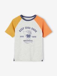 Boys-Tops-T-Shirts-Colourblock Top with Shark Motif for Boys