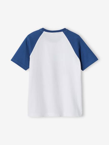 T-Shirt with Graphic Motif & Raglan Sleeves for Boys blue+sage green 