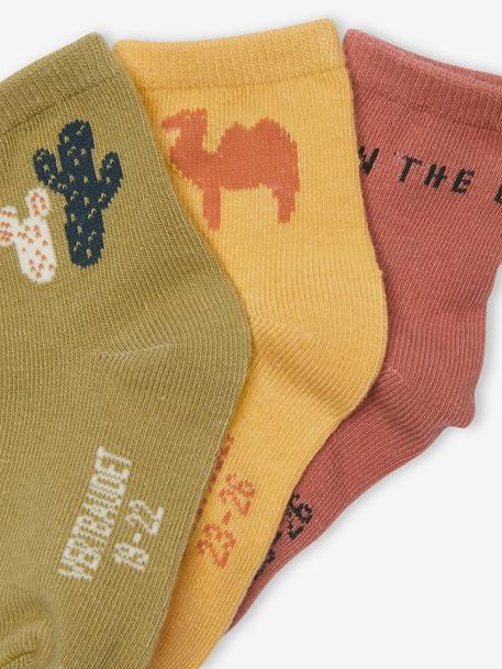 Pack of 3 Pairs of 'Cactus' Socks for Babies khaki 