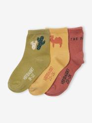 Pack of 3 Pairs of "Cactus" Socks for Babies
