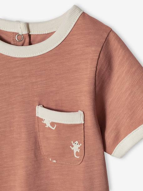 Gecko T-Shirt in Marl Cotton, Short Sleeves, for Babies pecan nut 