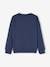 Sweatshirt with 'Have a nice day' Message, for Boys slate blue 