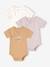 Pack of 3 Short Sleeve Bodysuits for Newborn Babies lilac 