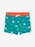 Swim Shorts with Maritime Print, for Baby Boys emerald green 