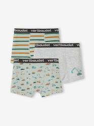 Boys-Underwear-Pack of 3 Stretch Boxers for Boys, "Digger"