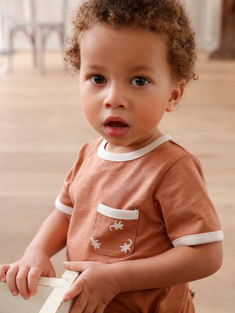 Gecko T-Shirt in Marl Cotton, Short Sleeves, for Babies pecan nut 