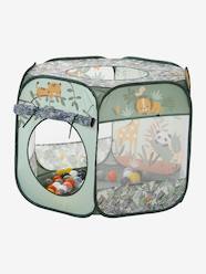 Toys-Ball Tent