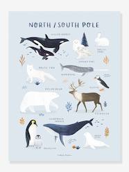 Animals of the North/South Pole, by LILIPINSO