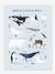 Animals of the North/South Pole, by LILIPINSO crystal blue 