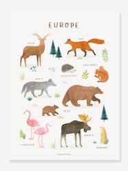 Bedding & Decor-Decoration-Wall Décor-Animals of Europe Poster, Living Earth by LILIPINSO